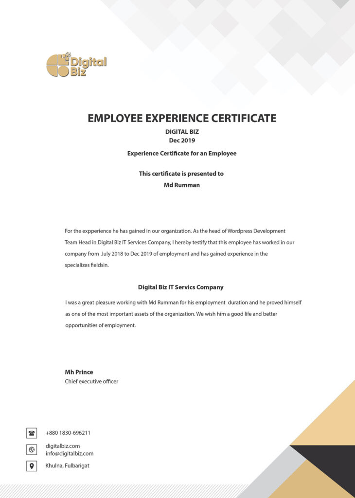WordPress Developer